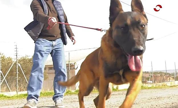 Neyla busca una familia