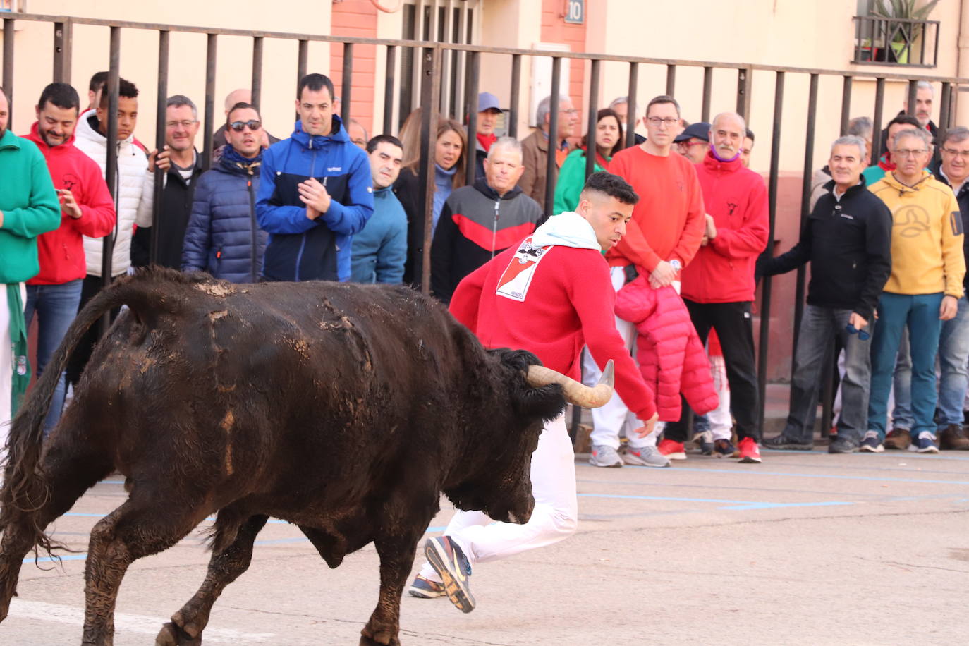 Fotos: Multitudinaria jornada en Fiestas de Arnedo