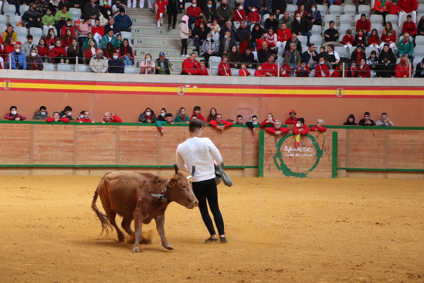 Fotos: Multitudinaria jornada en Fiestas de Arnedo