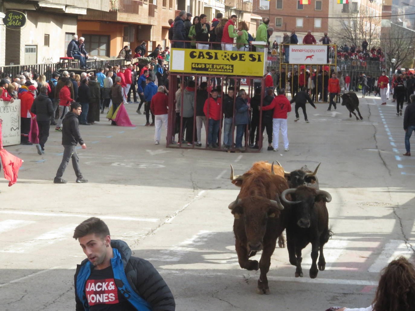 Fotos: Multitudinaria jornada en Fiestas de Arnedo