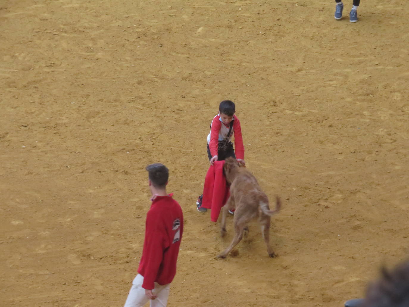 Fotos: Multitudinaria jornada en Fiestas de Arnedo