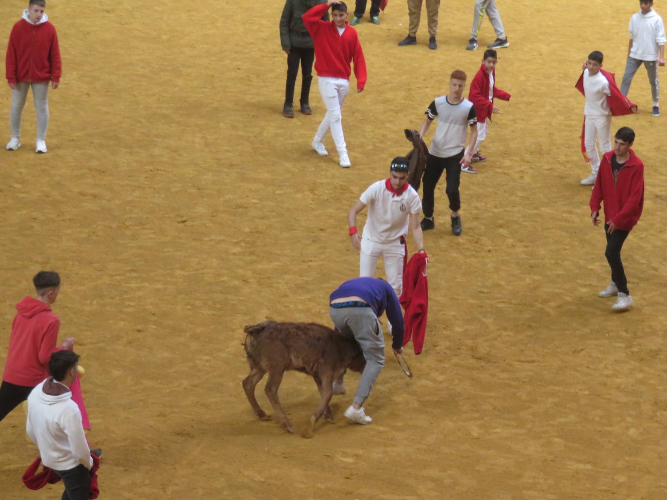 Fotos: Multitudinaria jornada en Fiestas de Arnedo