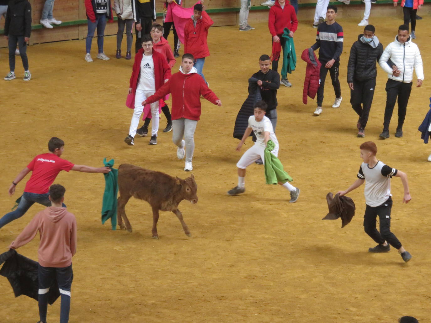 Fotos: Multitudinaria jornada en Fiestas de Arnedo