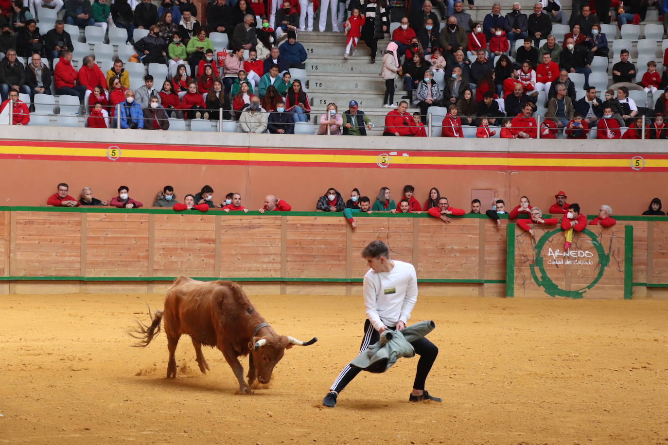 Fotos: Multitudinaria jornada en Fiestas de Arnedo