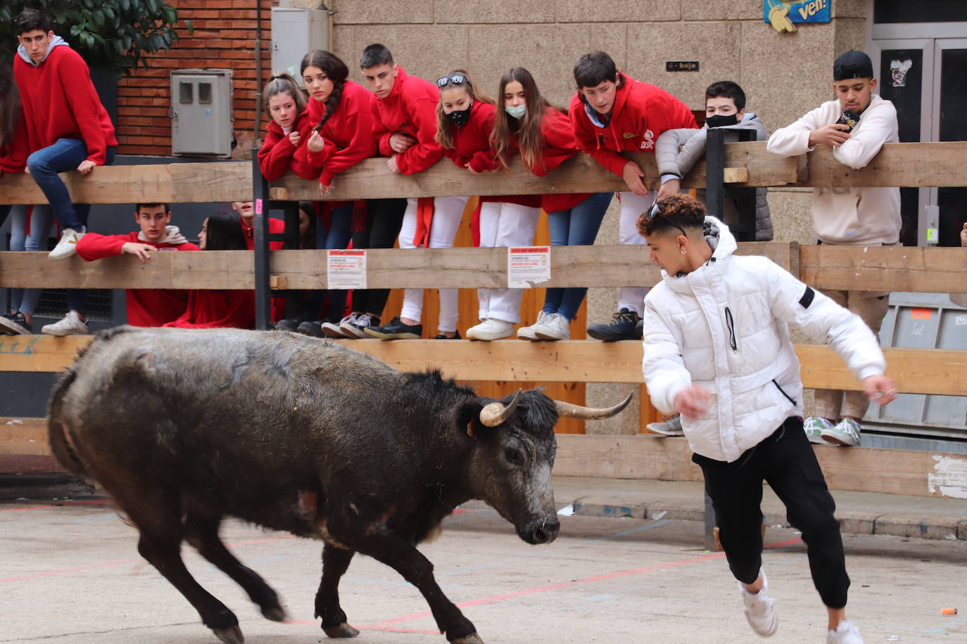 Fotos: Terminan las fiestas por San José de Arnedo