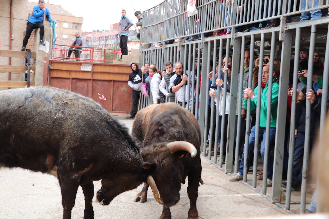 Fotos: Terminan las fiestas por San José de Arnedo