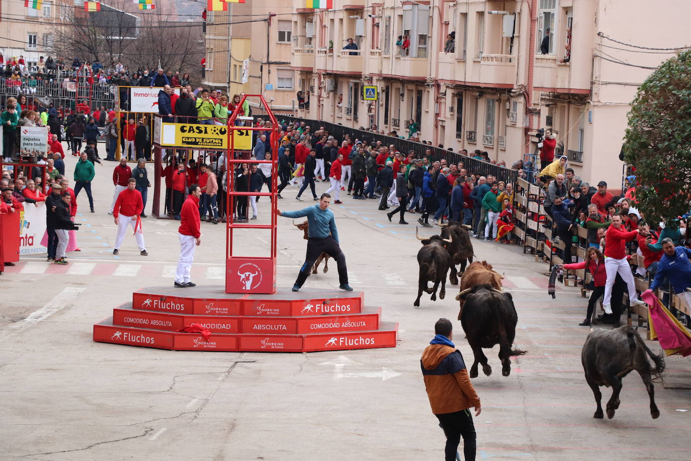 Fotos: Terminan las fiestas por San José de Arnedo