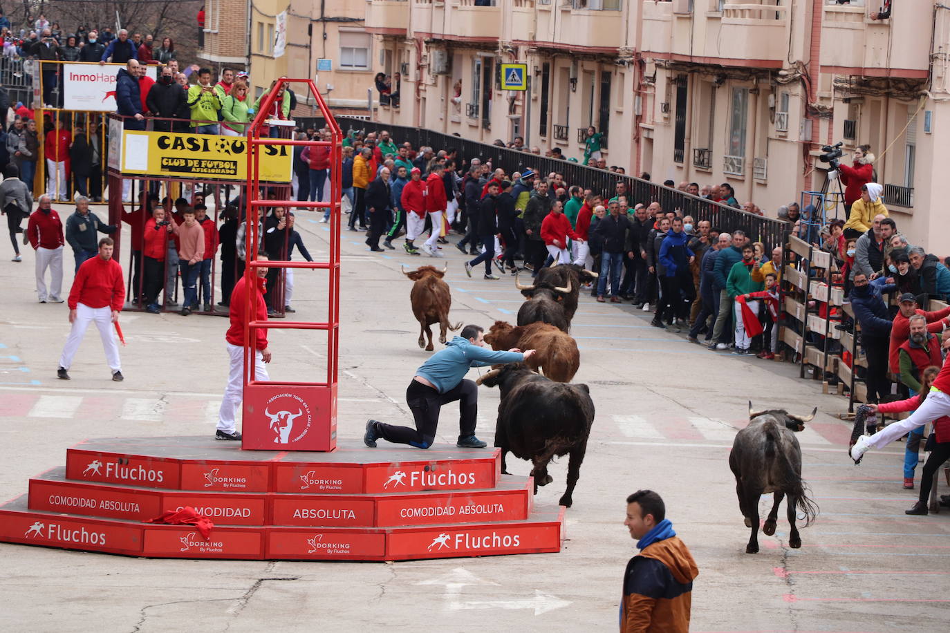 Fotos: Terminan las fiestas por San José de Arnedo