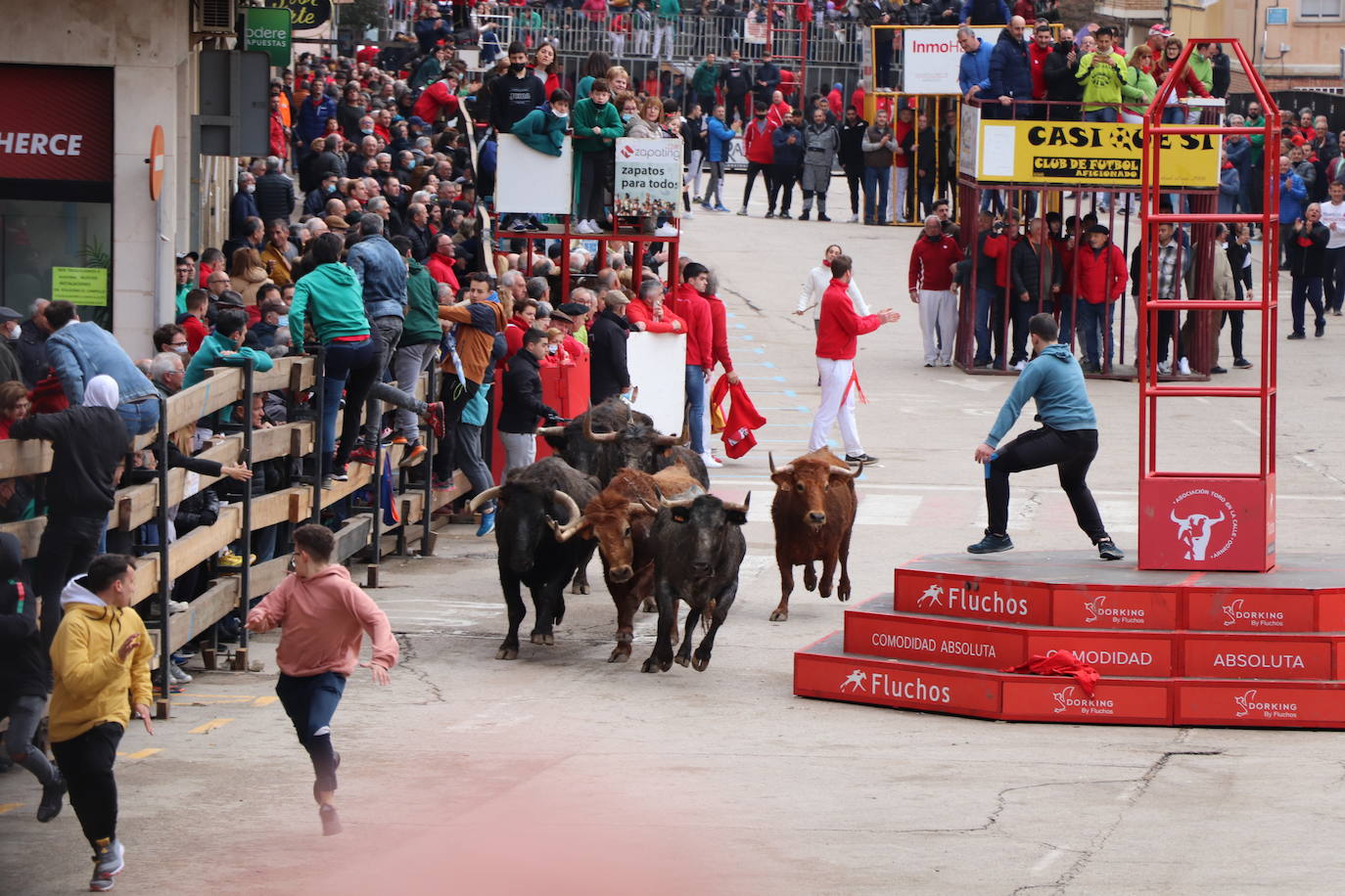 Fotos: Terminan las fiestas por San José de Arnedo