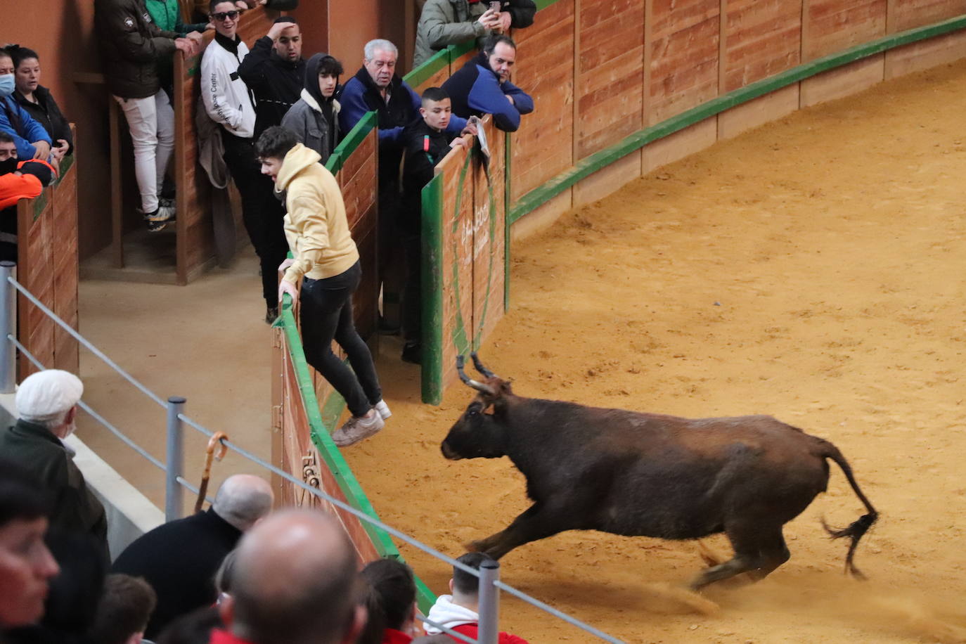 Fotos: Terminan las fiestas por San José de Arnedo