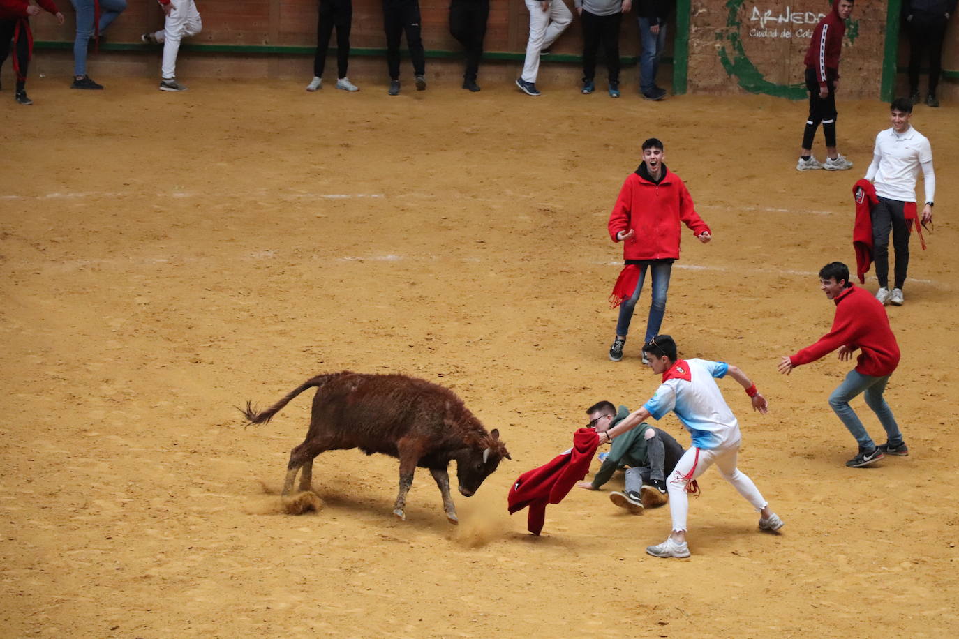 Fotos: Terminan las fiestas por San José de Arnedo