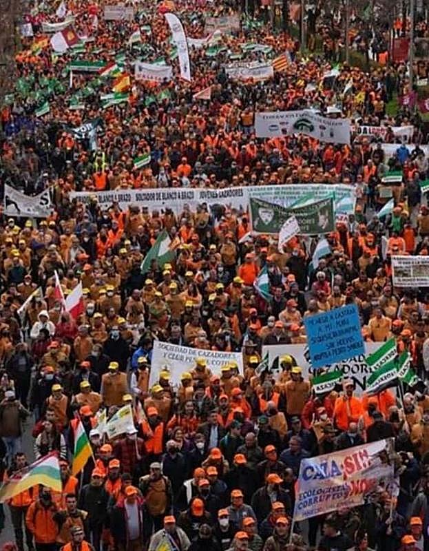 Imagen tomada en Madrid por Cristina Galilea, ganadera de Ajamil