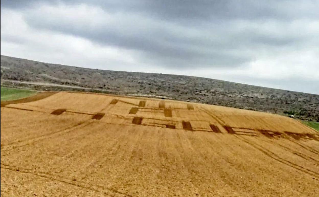  «No a la guerra» arado en la tierra. 