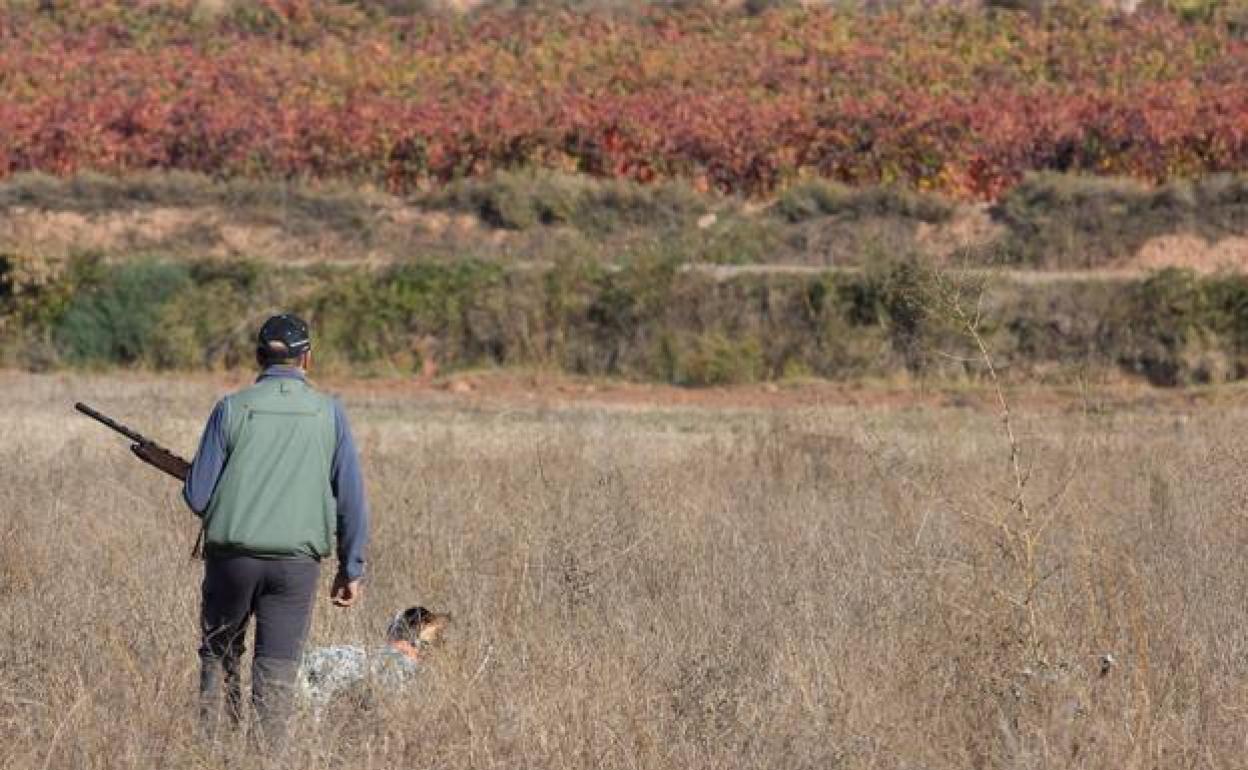 Un cazador practica caza menor. 