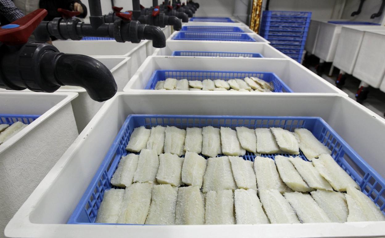 Bacalao en la nave de Bacalaos Alejandra. 