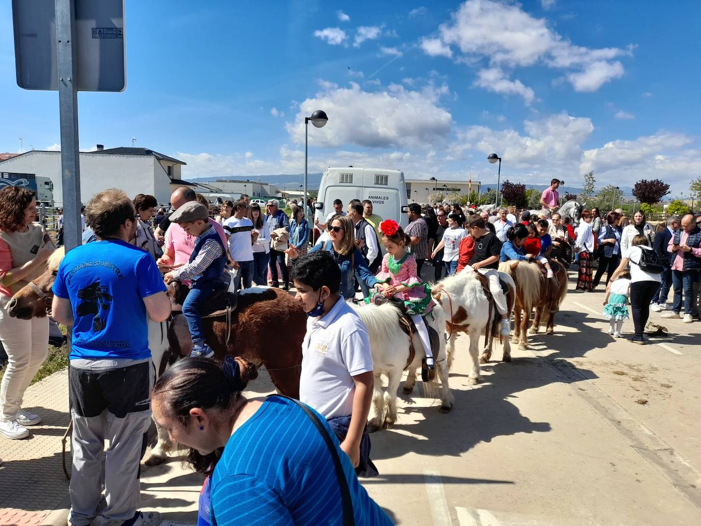 Fotos: Feria del ganado equino en Rincón de Soto