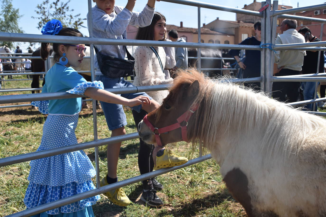 Fotos: Feria del ganado equino en Rincón de Soto