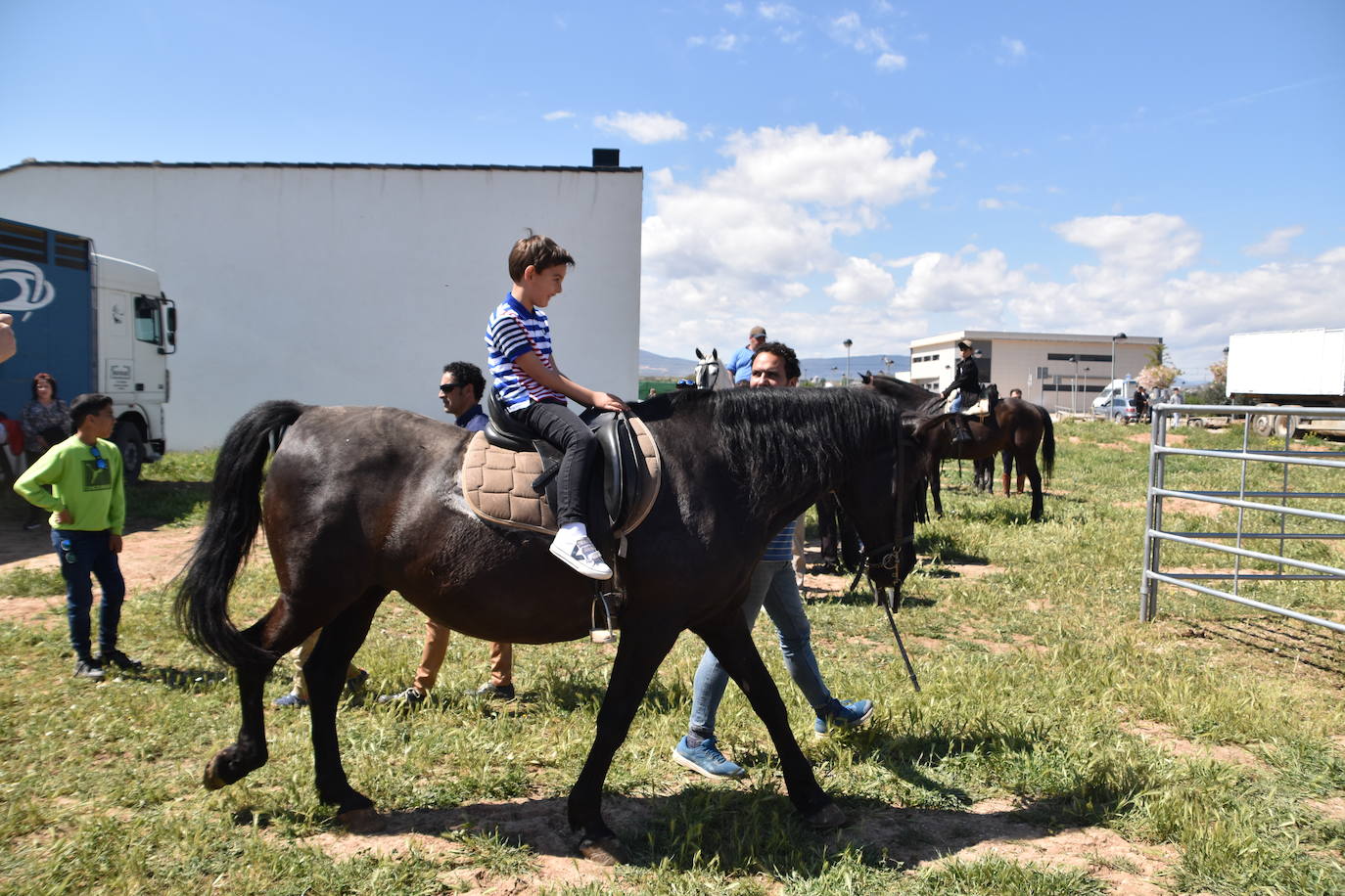 Fotos: Feria del ganado equino en Rincón de Soto