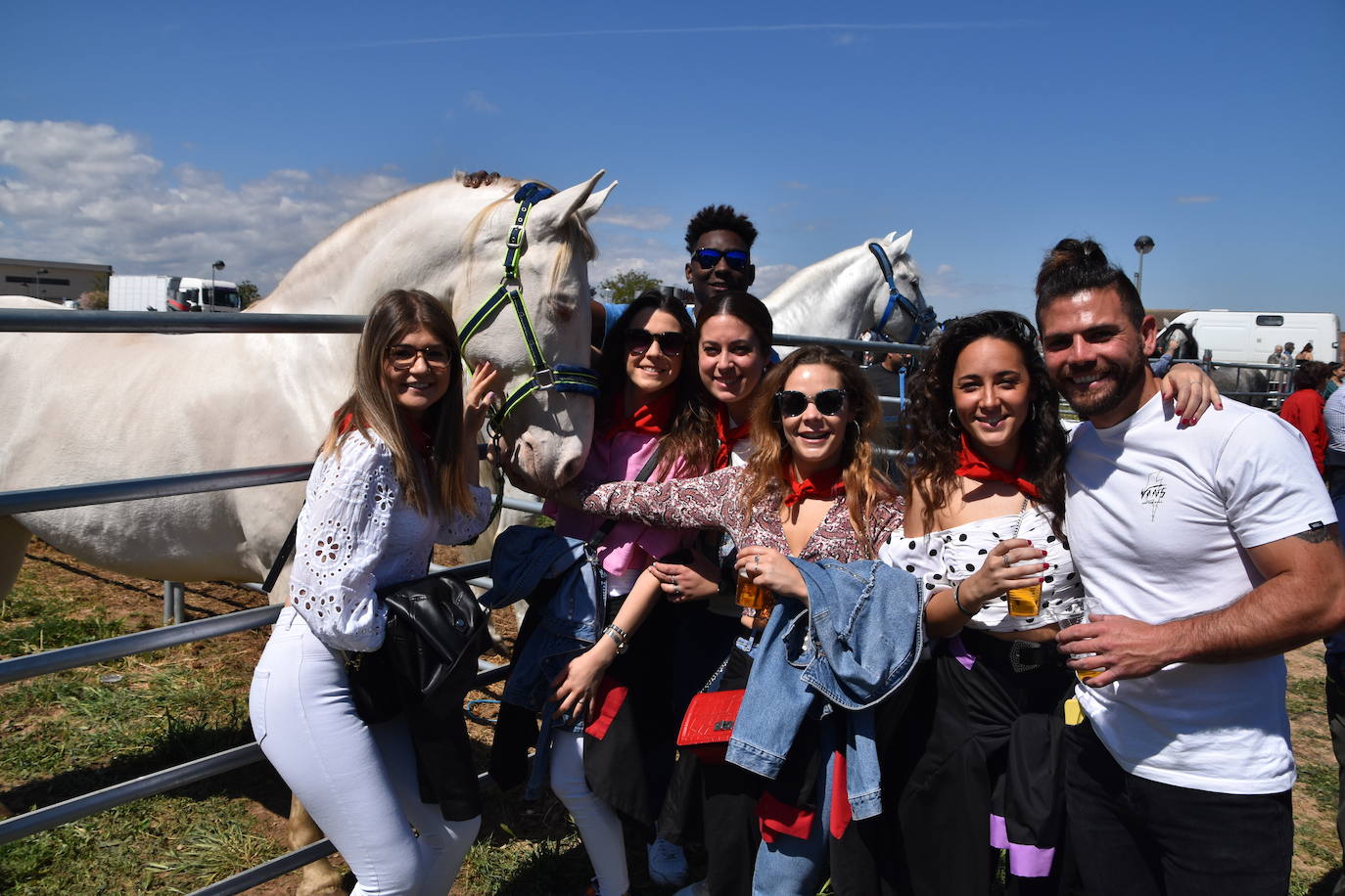 Fotos: Feria del ganado equino en Rincón de Soto