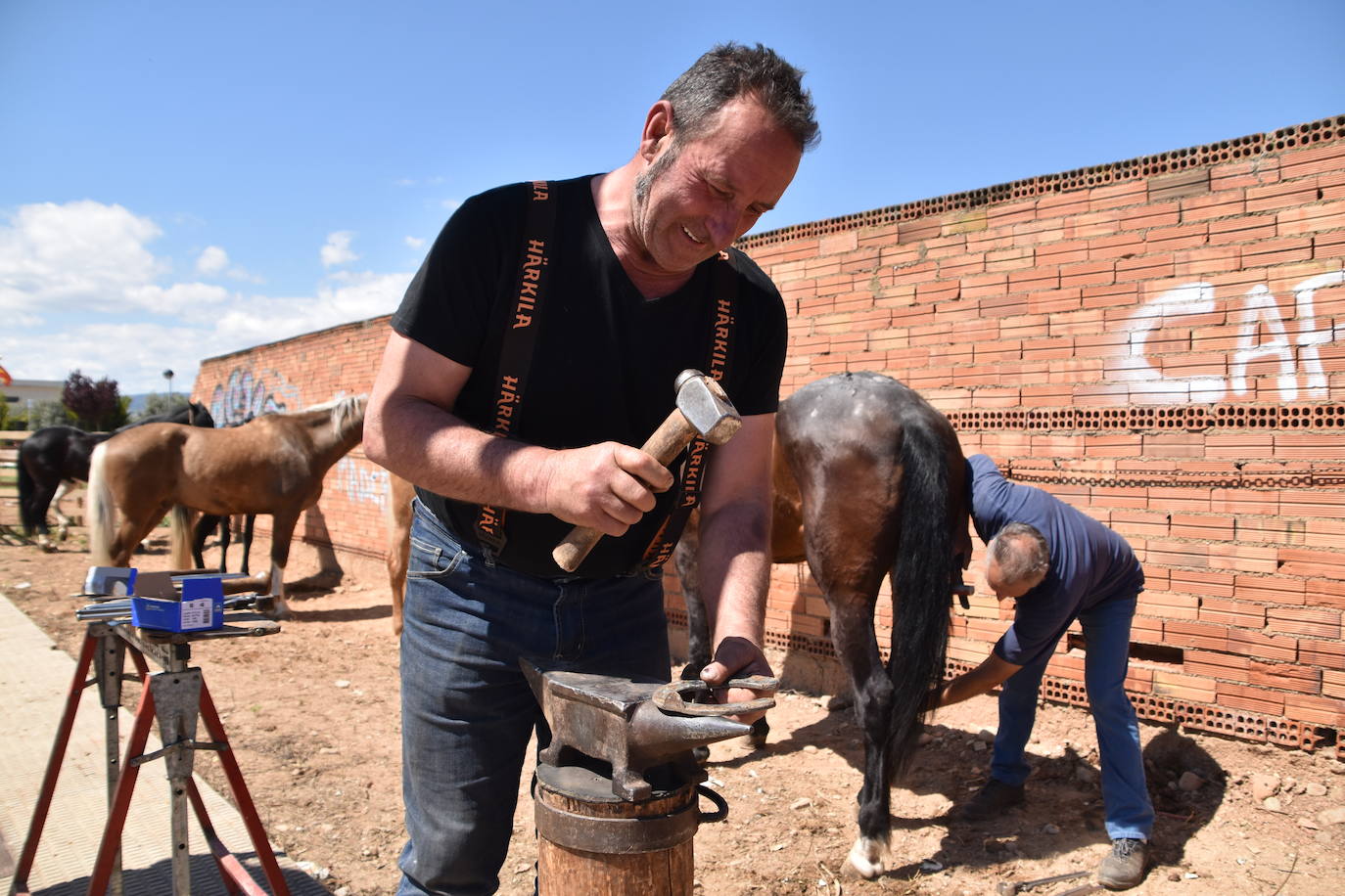 Fotos: Feria del ganado equino en Rincón de Soto