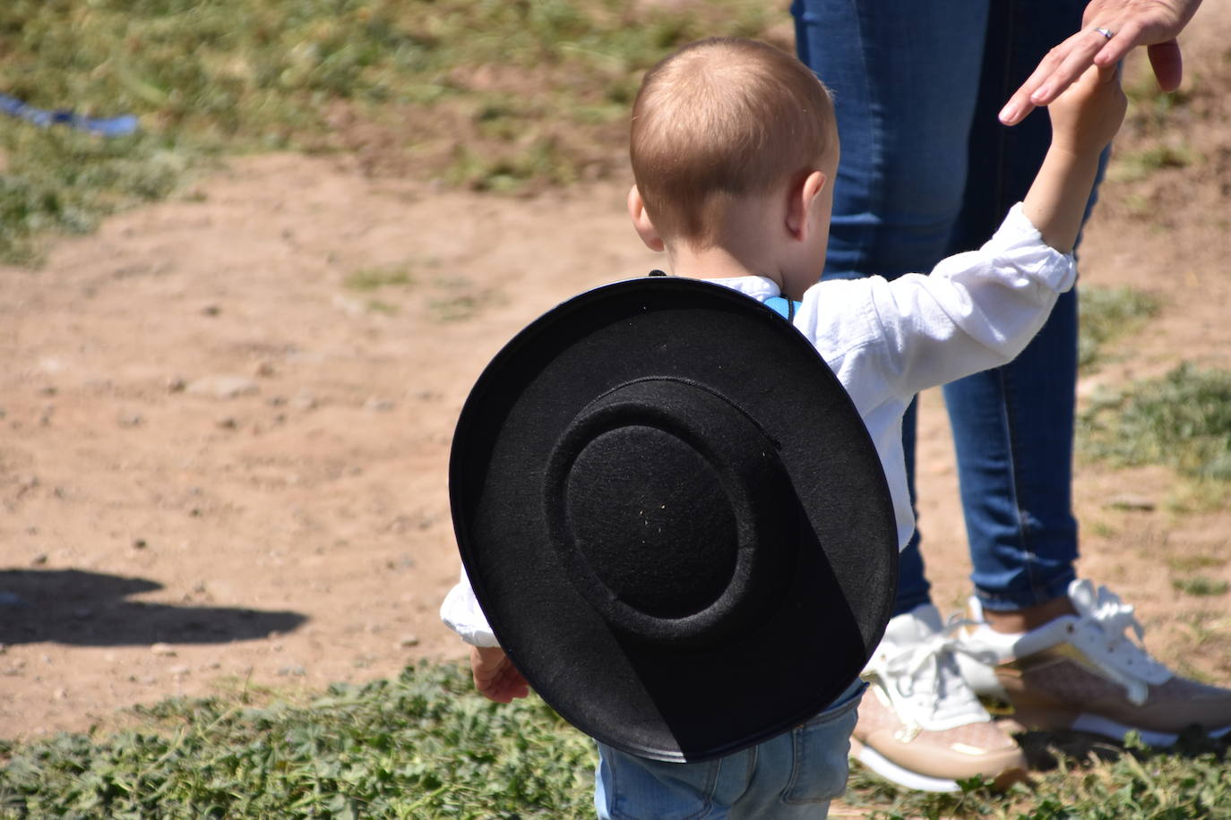 Fotos: Feria del ganado equino en Rincón de Soto