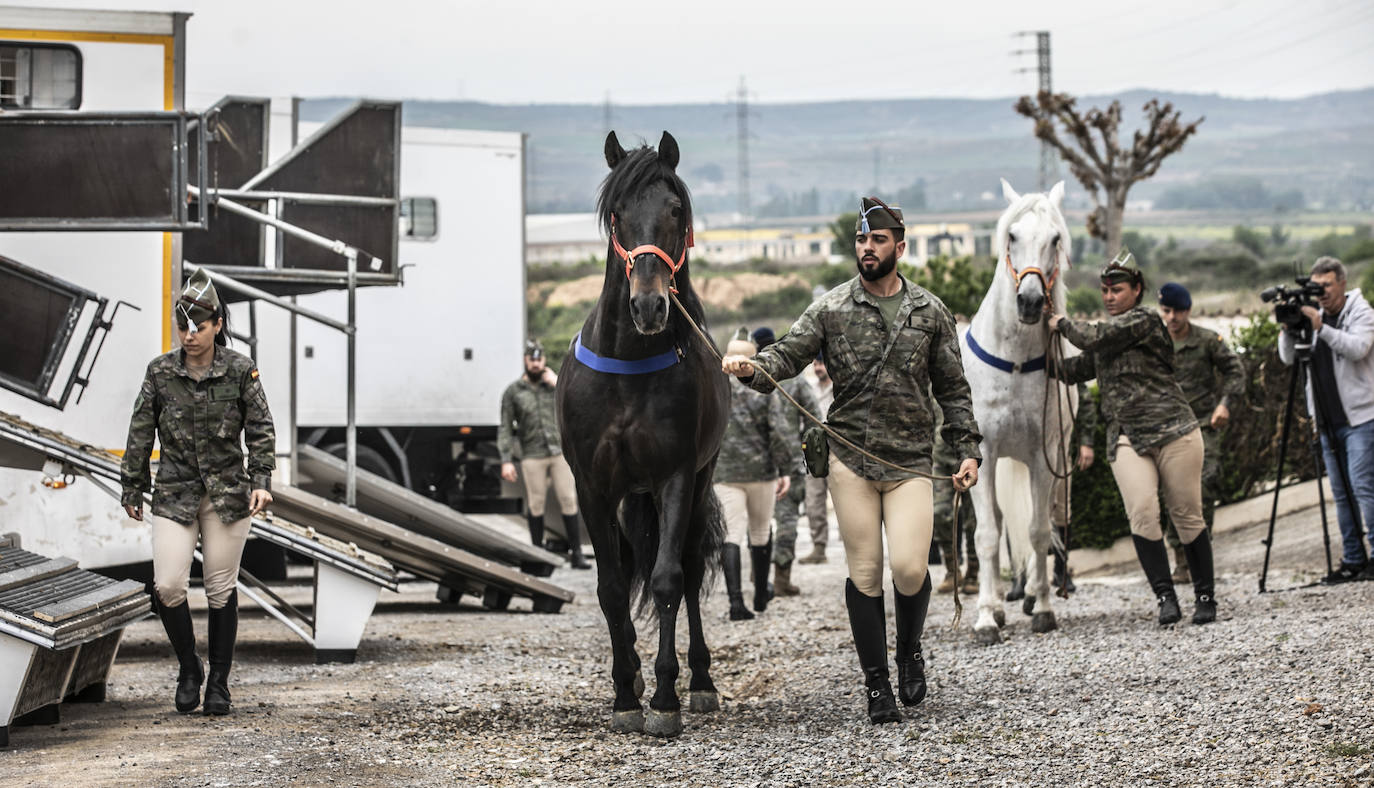 Fotos: Los caballos de la Guardia Real, una raza aparte