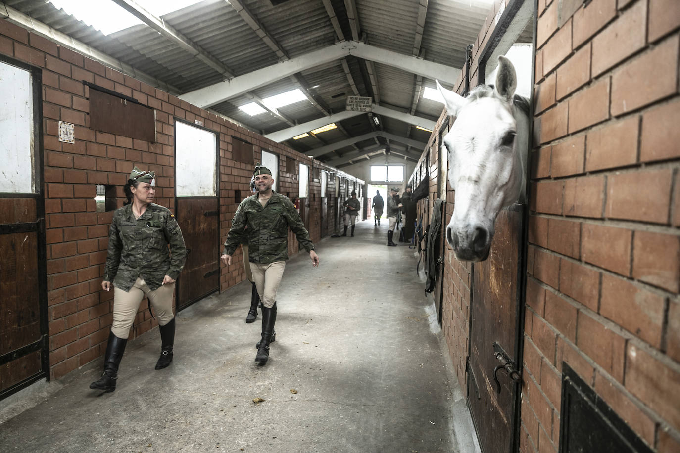 Fotos: Los caballos de la Guardia Real, una raza aparte