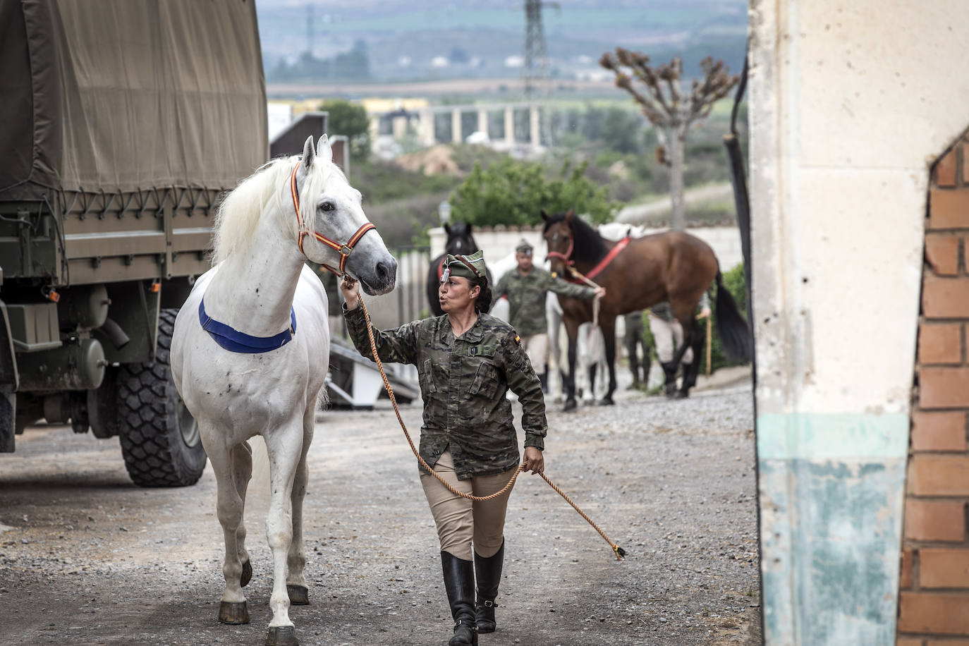 Fotos: Los caballos de la Guardia Real, una raza aparte