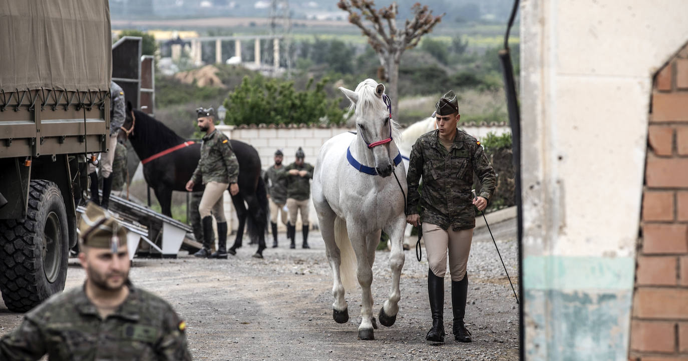 Fotos: Los caballos de la Guardia Real, una raza aparte