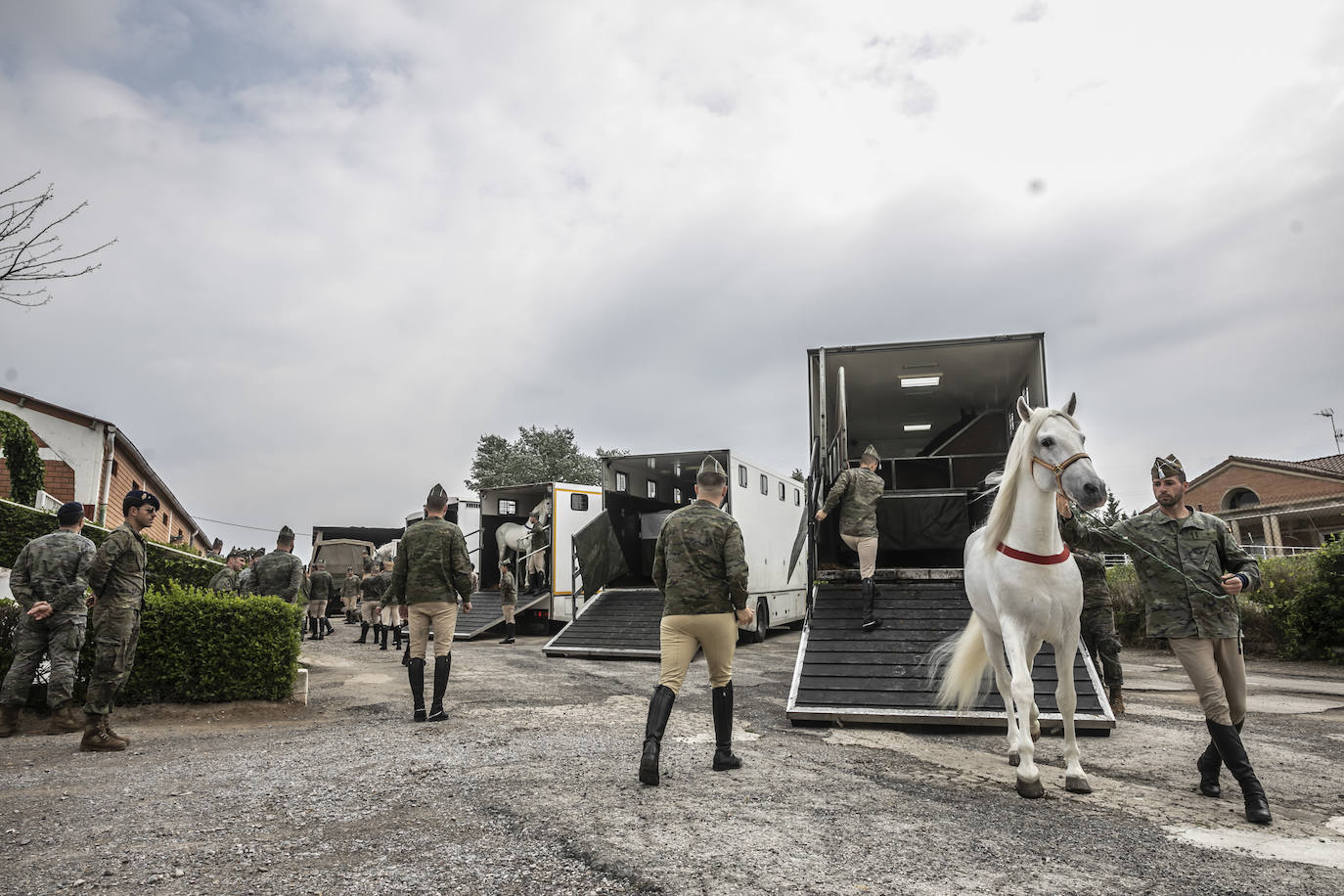 Fotos: Los caballos de la Guardia Real, una raza aparte