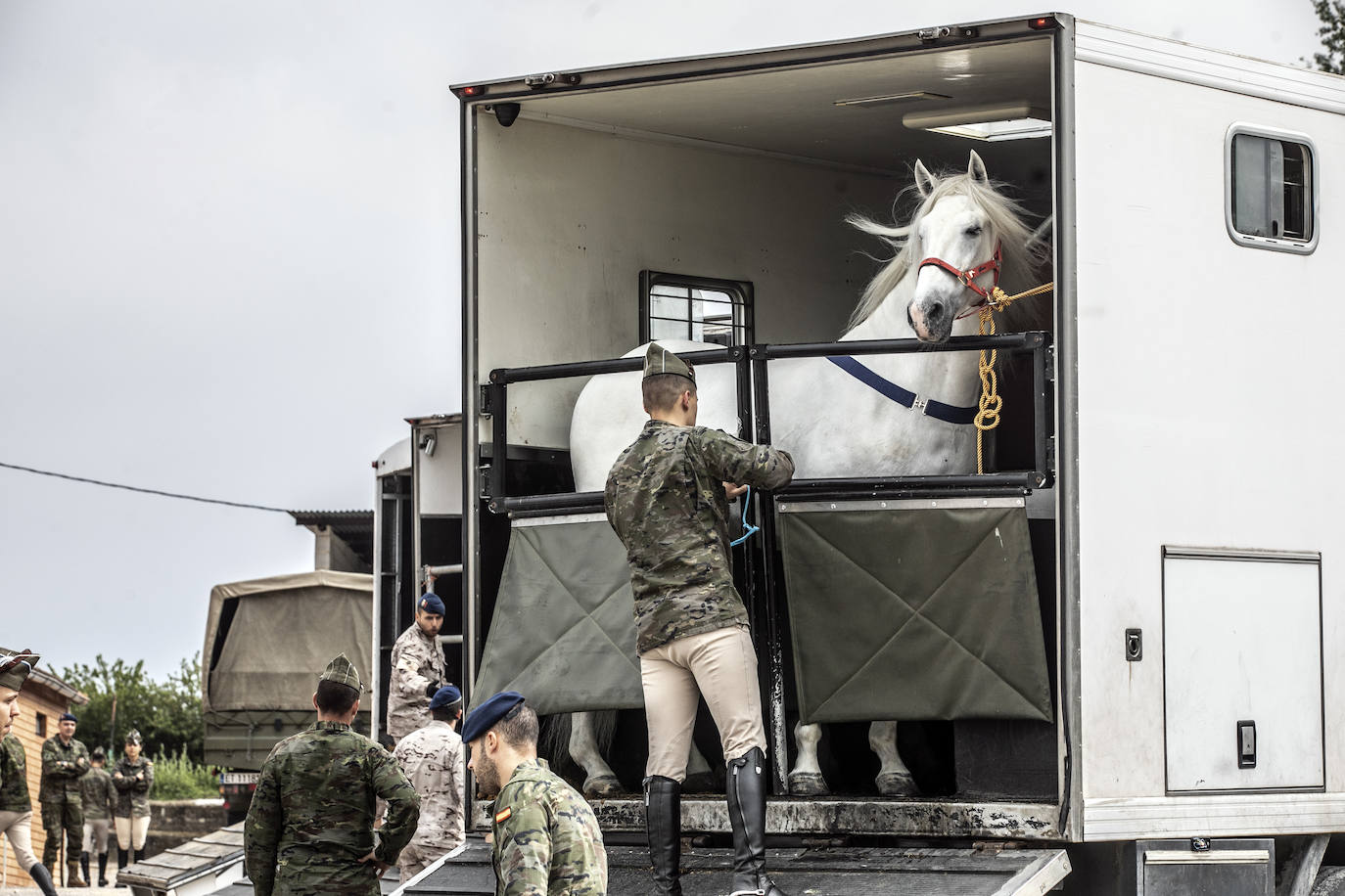 Fotos: Los caballos de la Guardia Real, una raza aparte