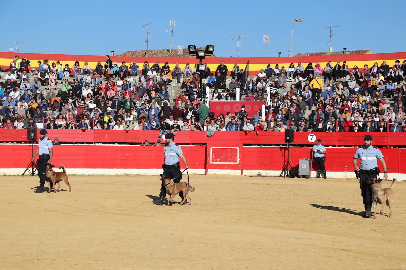 Fotos: El desfile de la caballería de la Guardia Real en Alfaro