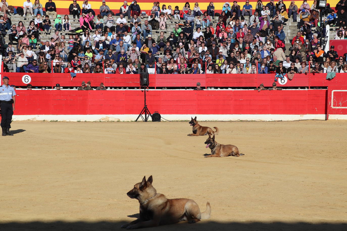 Fotos: El desfile de la caballería de la Guardia Real en Alfaro