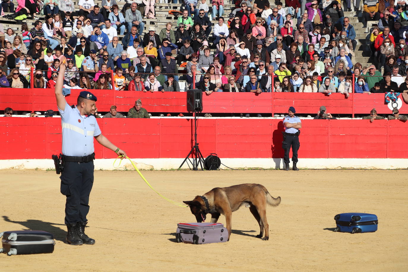 Fotos: El desfile de la caballería de la Guardia Real en Alfaro