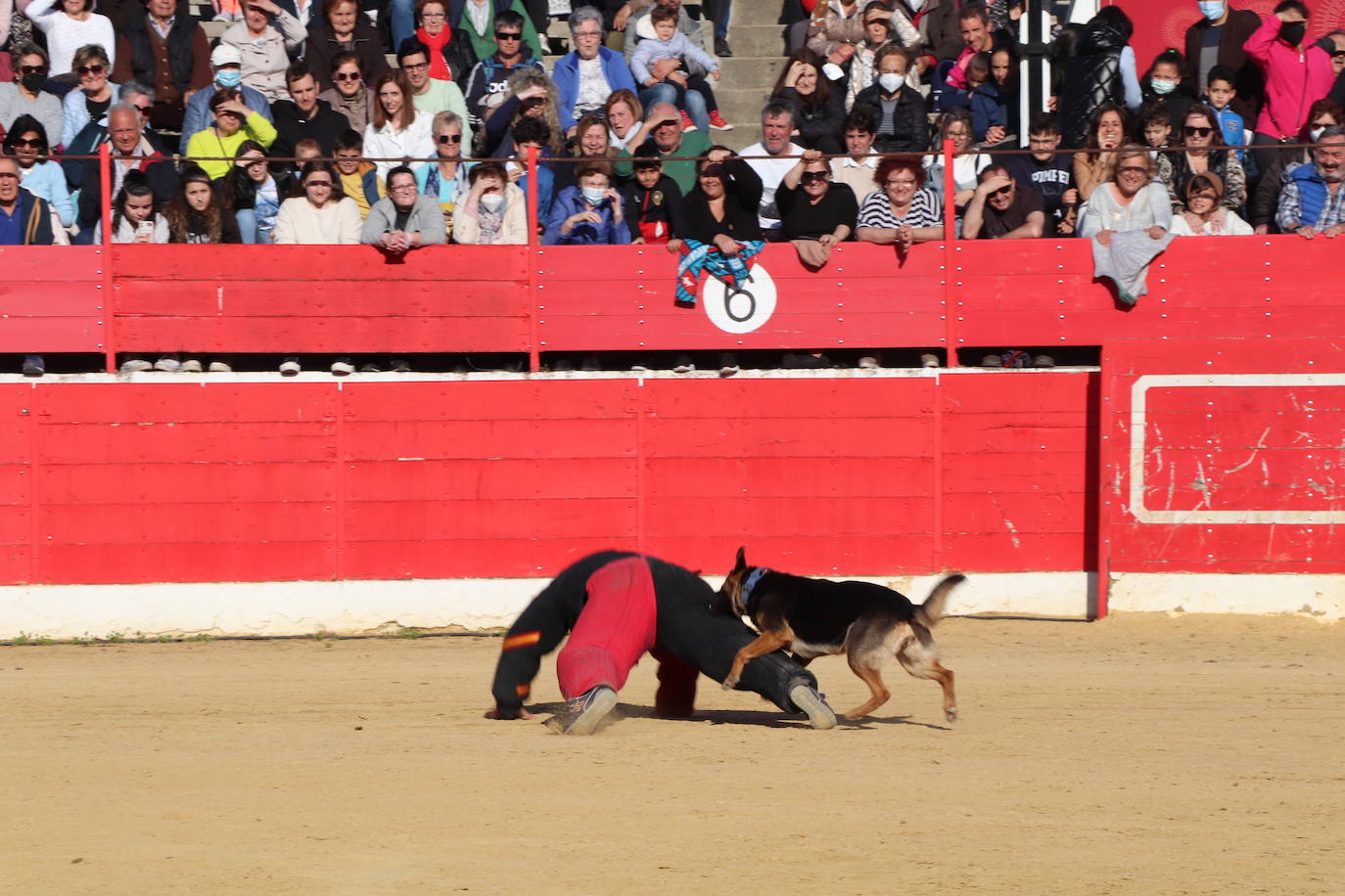 Fotos: El desfile de la caballería de la Guardia Real en Alfaro