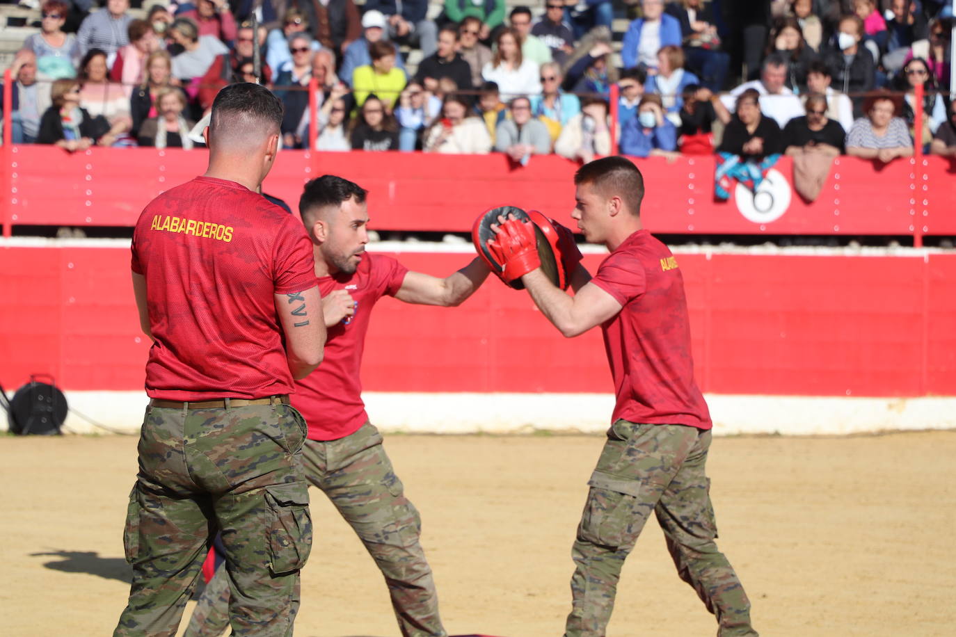 Fotos: El desfile de la caballería de la Guardia Real en Alfaro