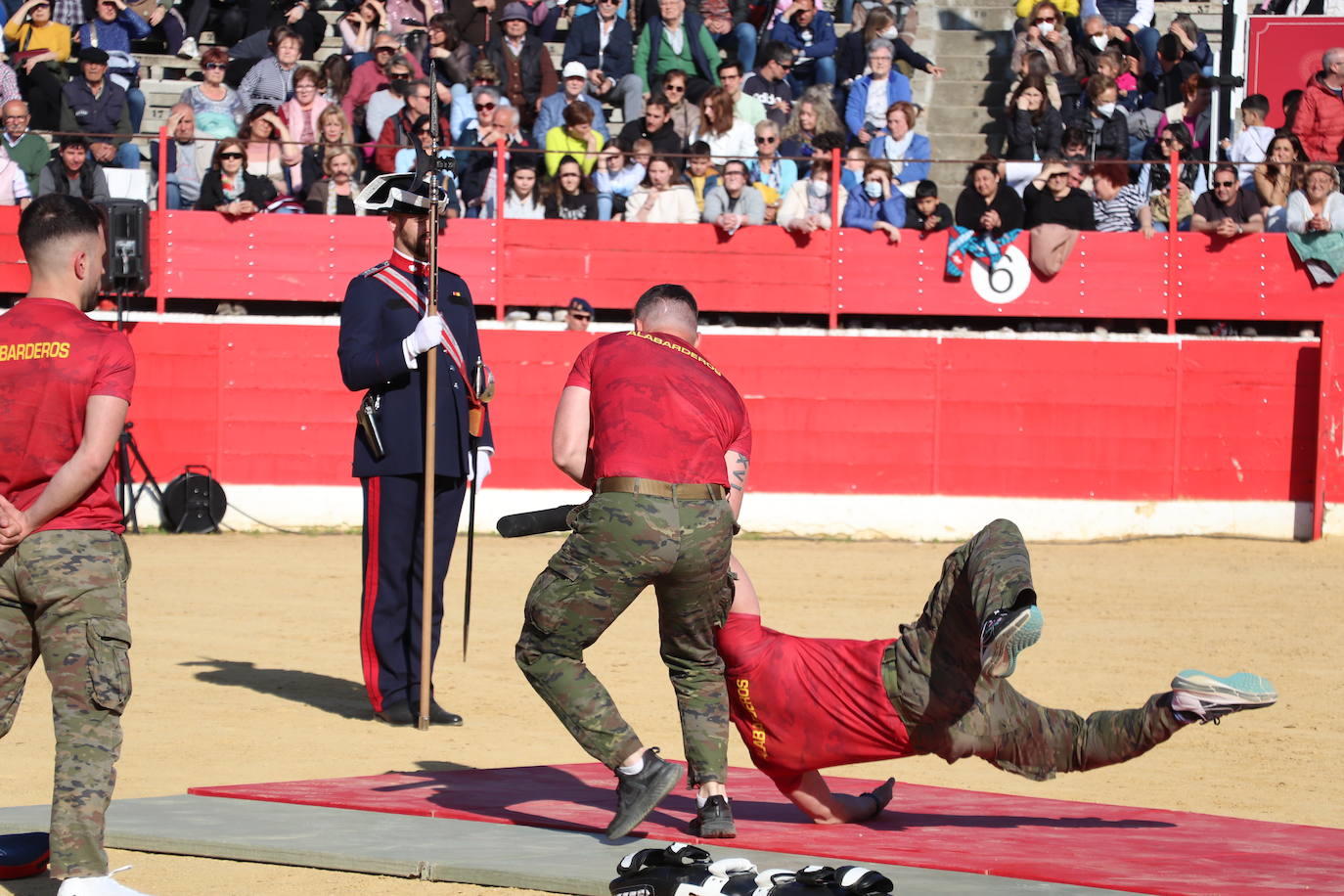 Fotos: El desfile de la caballería de la Guardia Real en Alfaro