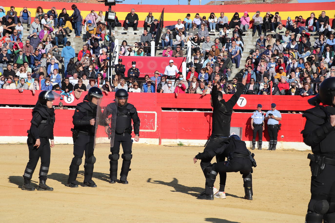 Fotos: El desfile de la caballería de la Guardia Real en Alfaro