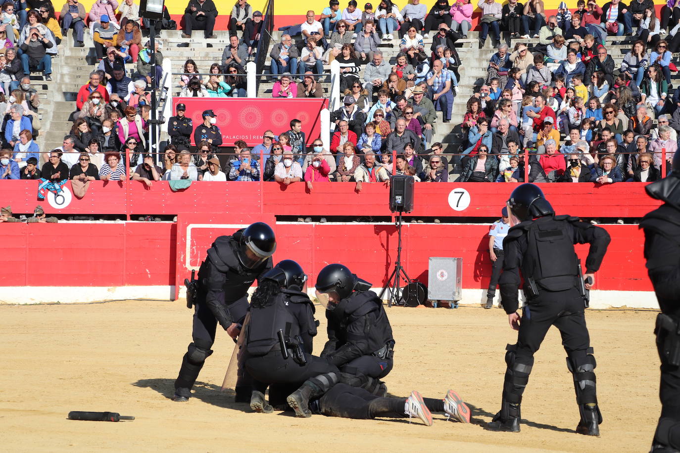 Fotos: El desfile de la caballería de la Guardia Real en Alfaro