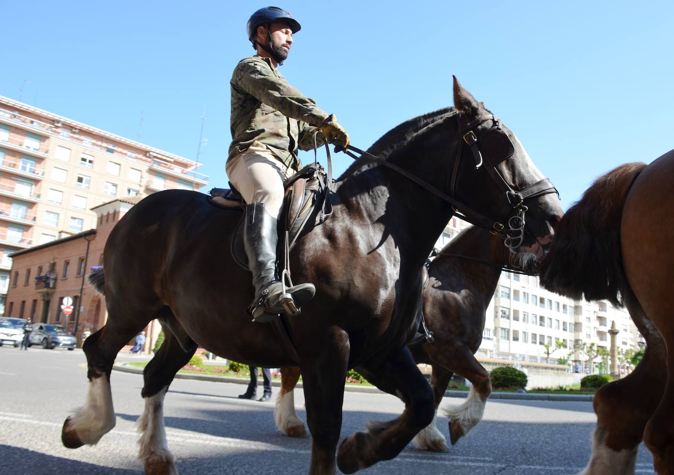 Fotos: Desfile de la Guardia Real a caballo por Calahorra