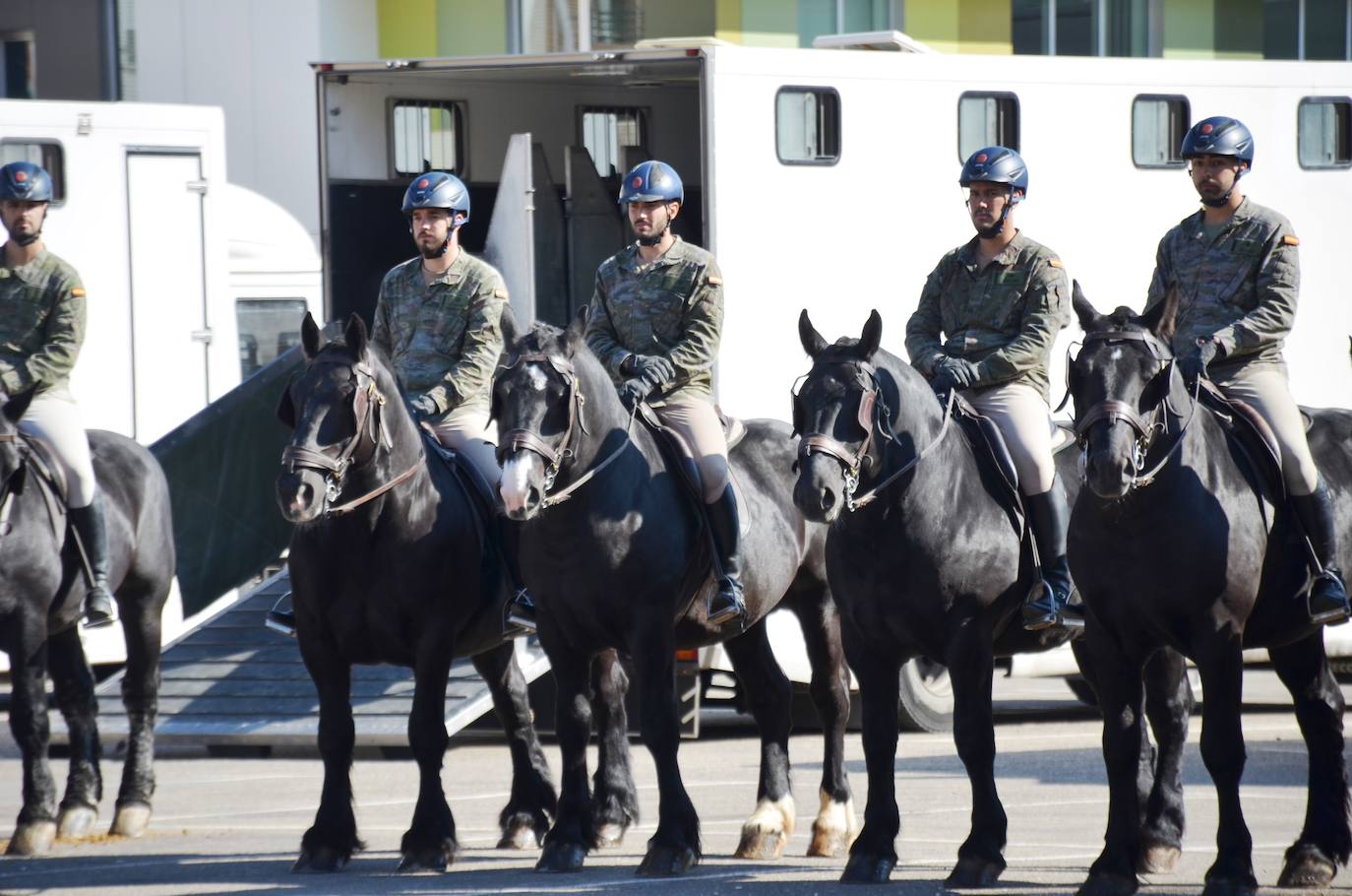 Fotos: Desfile de la Guardia Real a caballo por Calahorra