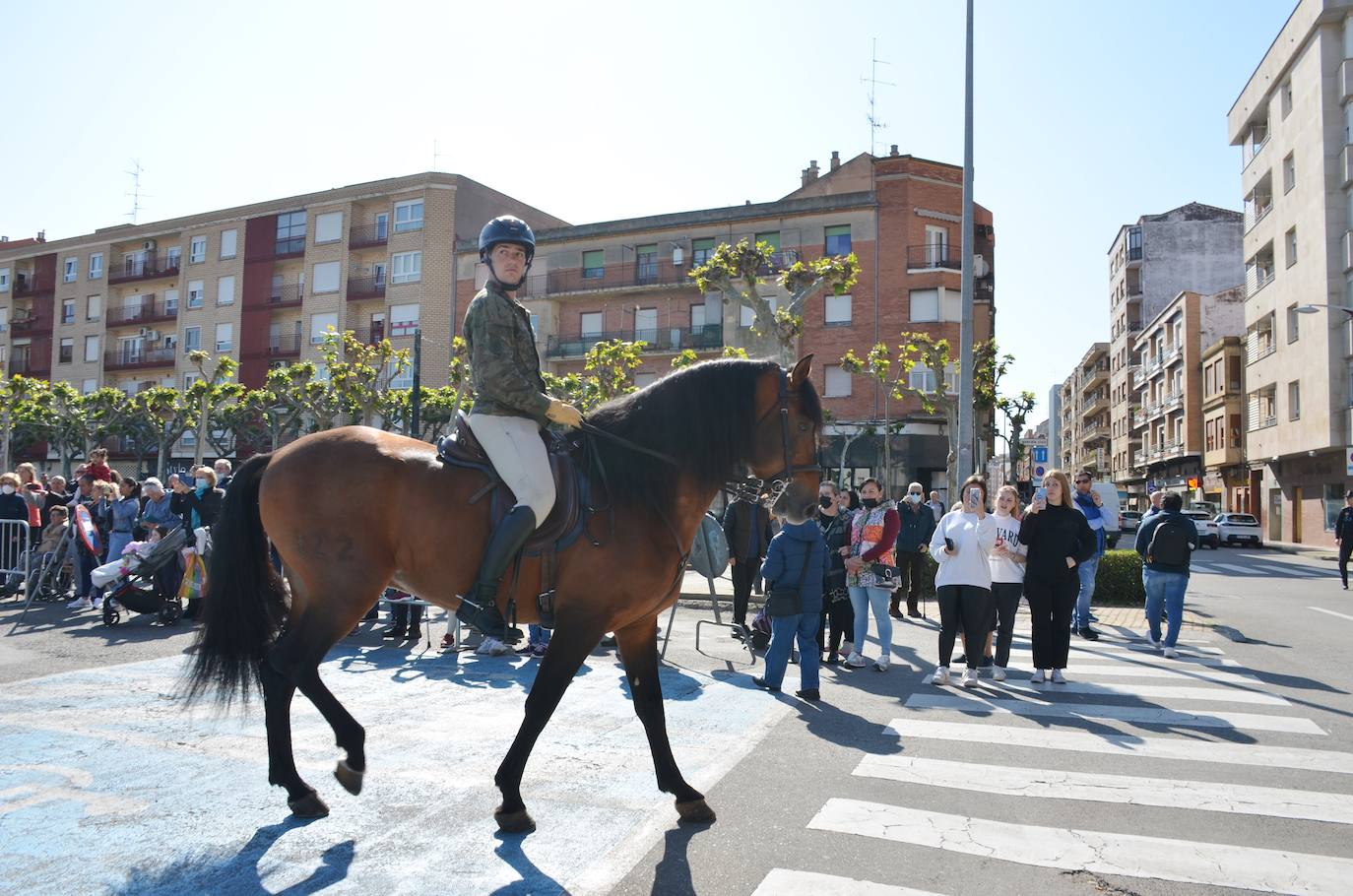 Fotos: Desfile de la Guardia Real a caballo por Calahorra