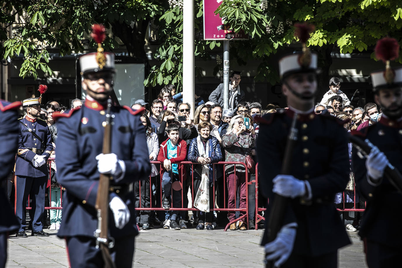 Fotos: La Guardia Real desfila por el centro de Logroño