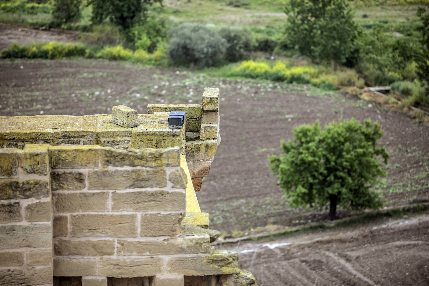 Fotos: El castillo consistorial de Agoncillo