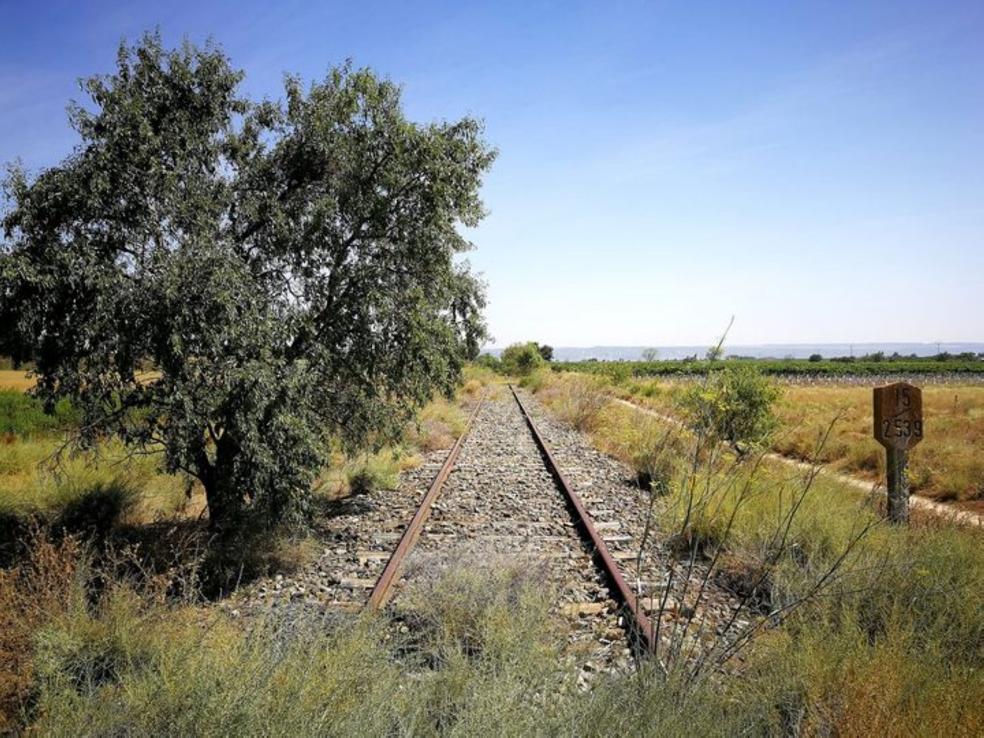 Imagen de la situación de abandono en la que se encuentra la línea Soria-Castejón a su paso por El Valle, en el término de Tambarría (Alfaro). 