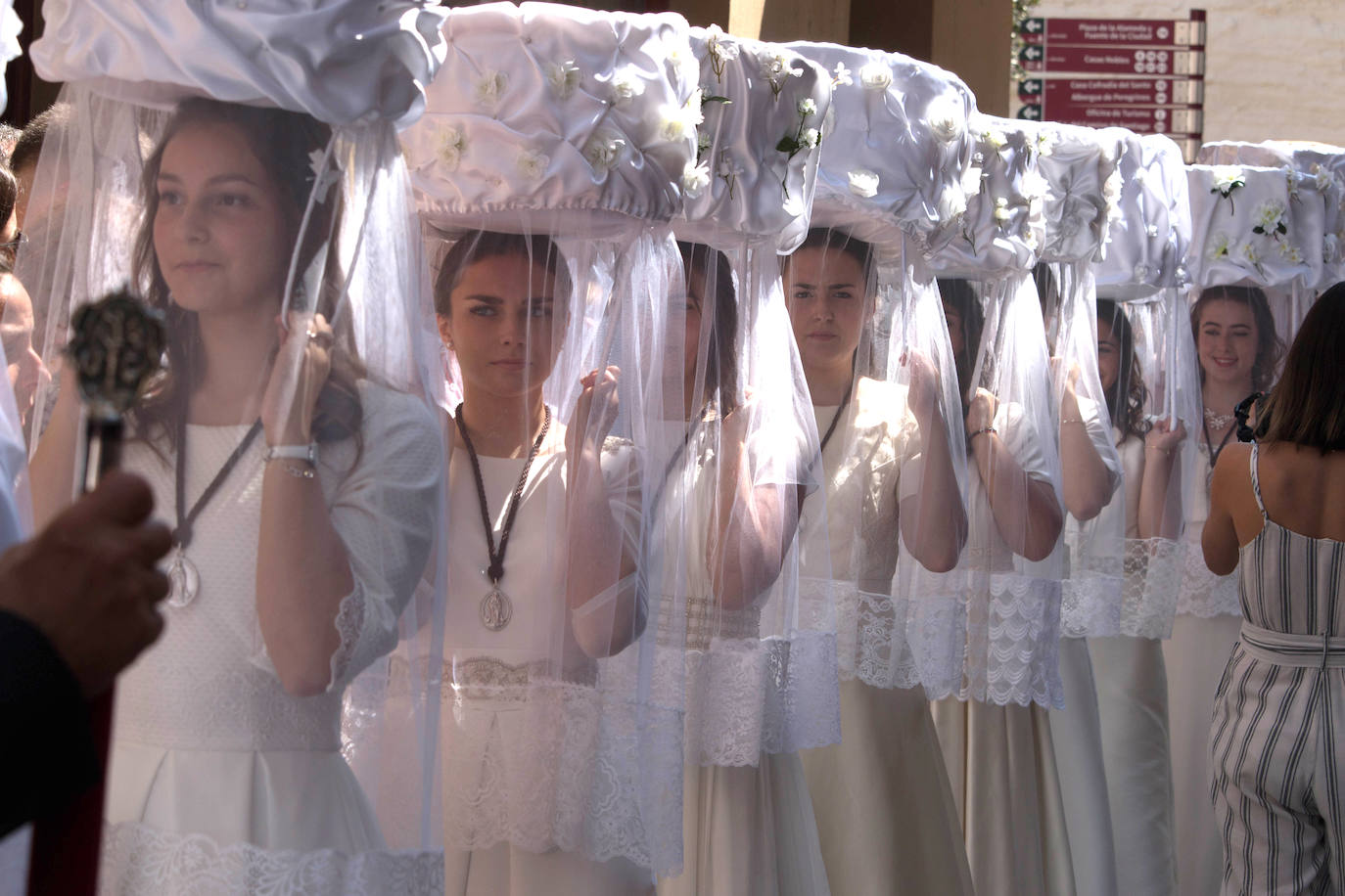 Fotos: Procesión de las doncellas en Santo Domingo de la Calzada