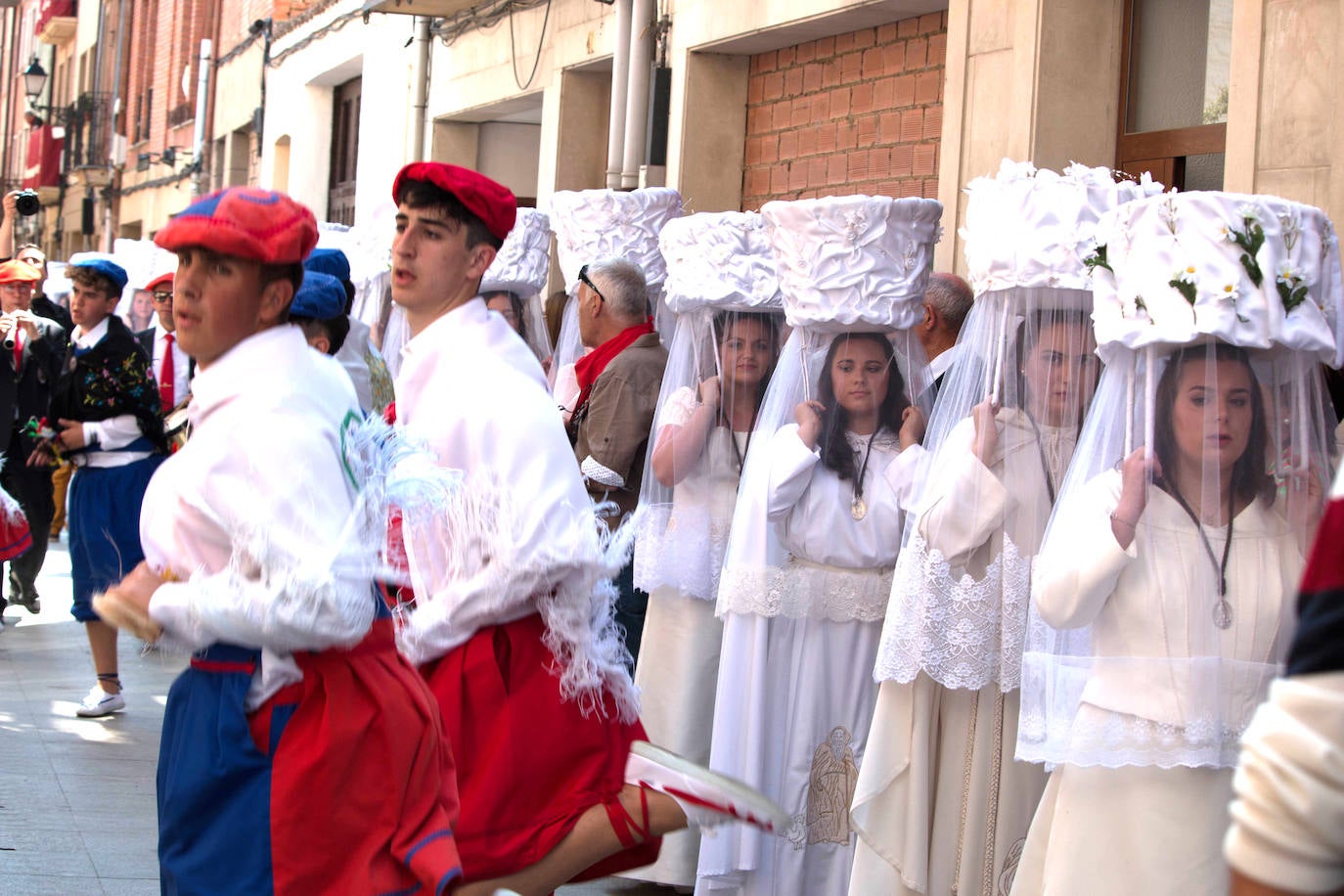 Fotos: Procesión de las doncellas en Santo Domingo de la Calzada