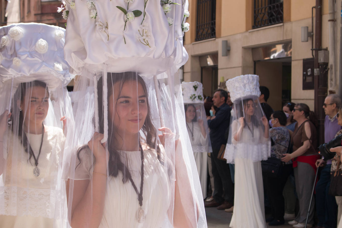 Fotos: Procesión de las doncellas en Santo Domingo de la Calzada