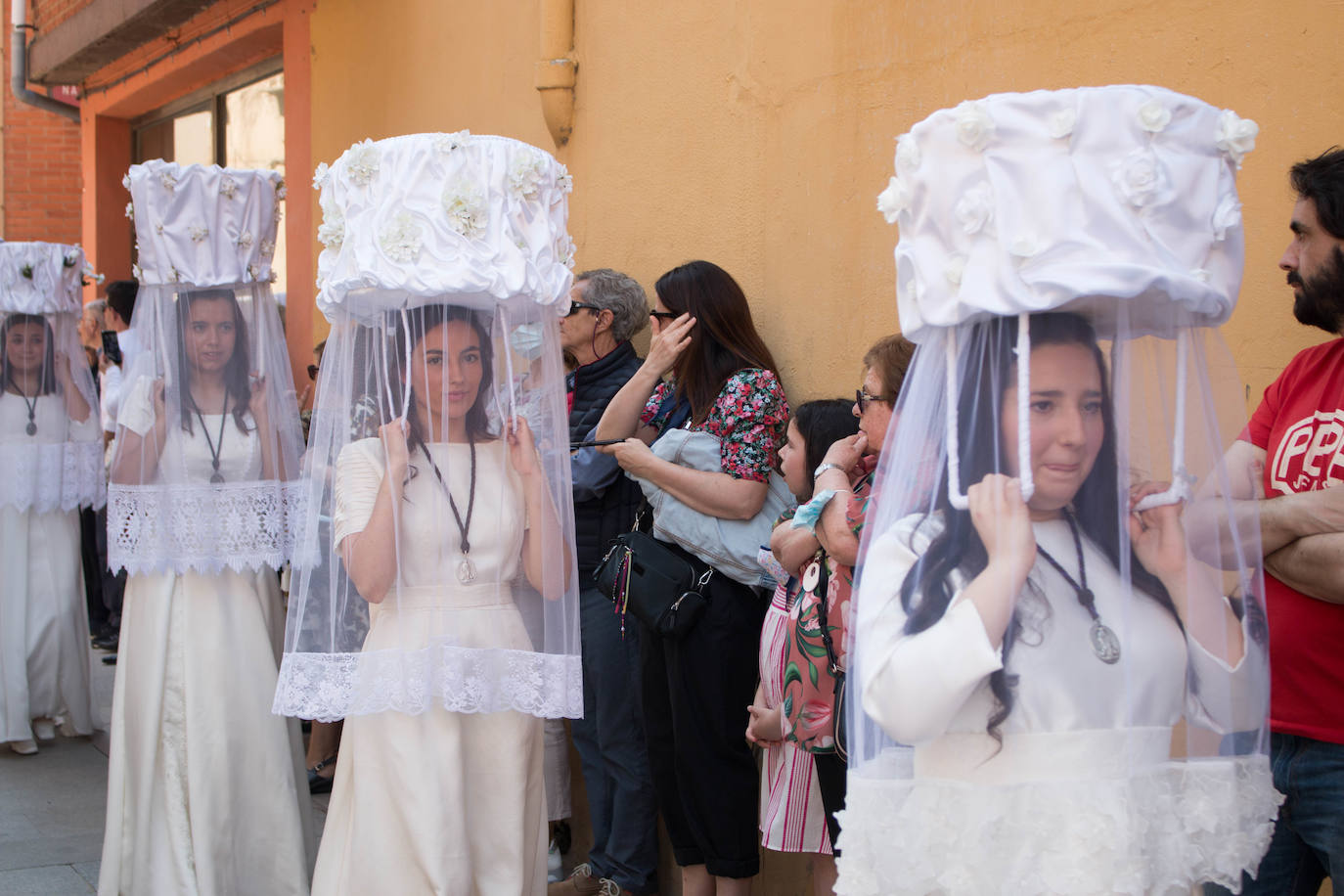 Fotos: Procesión de las doncellas en Santo Domingo de la Calzada