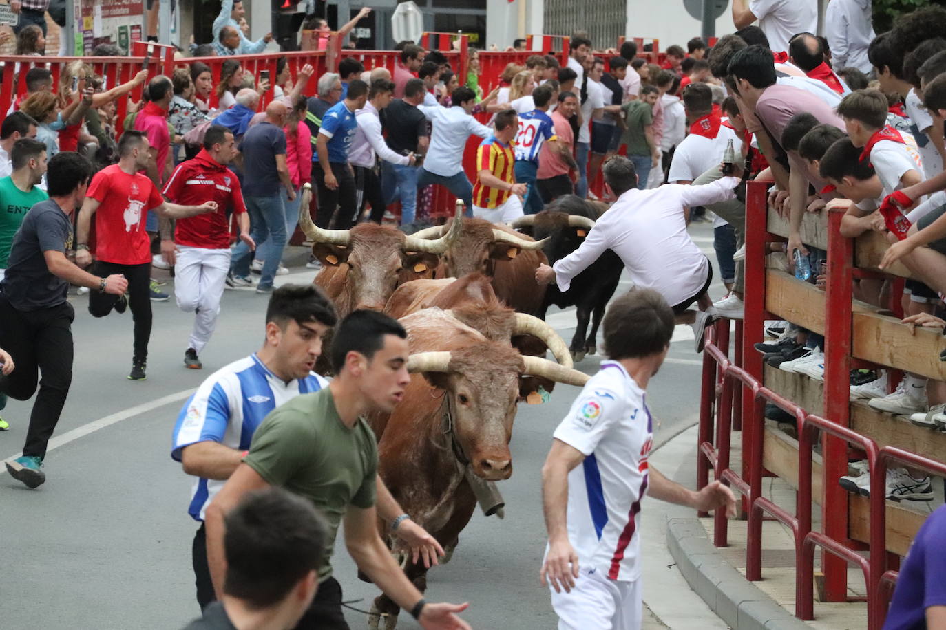 Fotos: Alfaro disfruta se la segunda jornada de las fiestas de Primavera